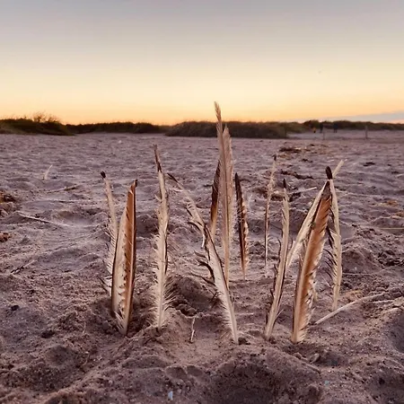 Ferien Im Wangerland - Haus Wiesenweg - 1 1og Lägenhet