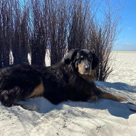 Ferien Im Wangerland - Haus Wiesenweg - 1 1og