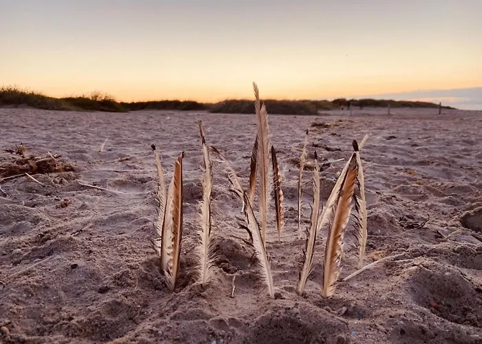 Ferien Im Wangerland - Haus Wiesenweg - 1 1og